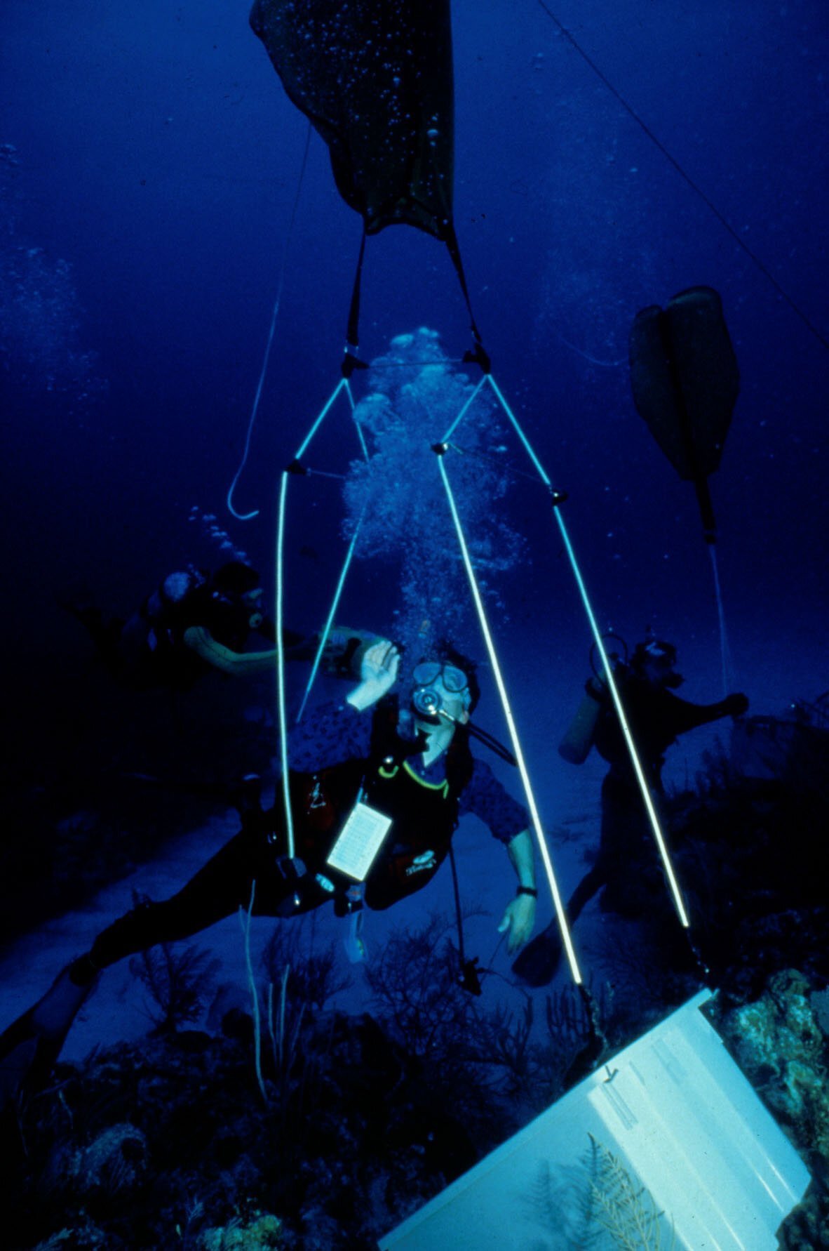The artificial ocean and coral reef inside Biosphere 2.