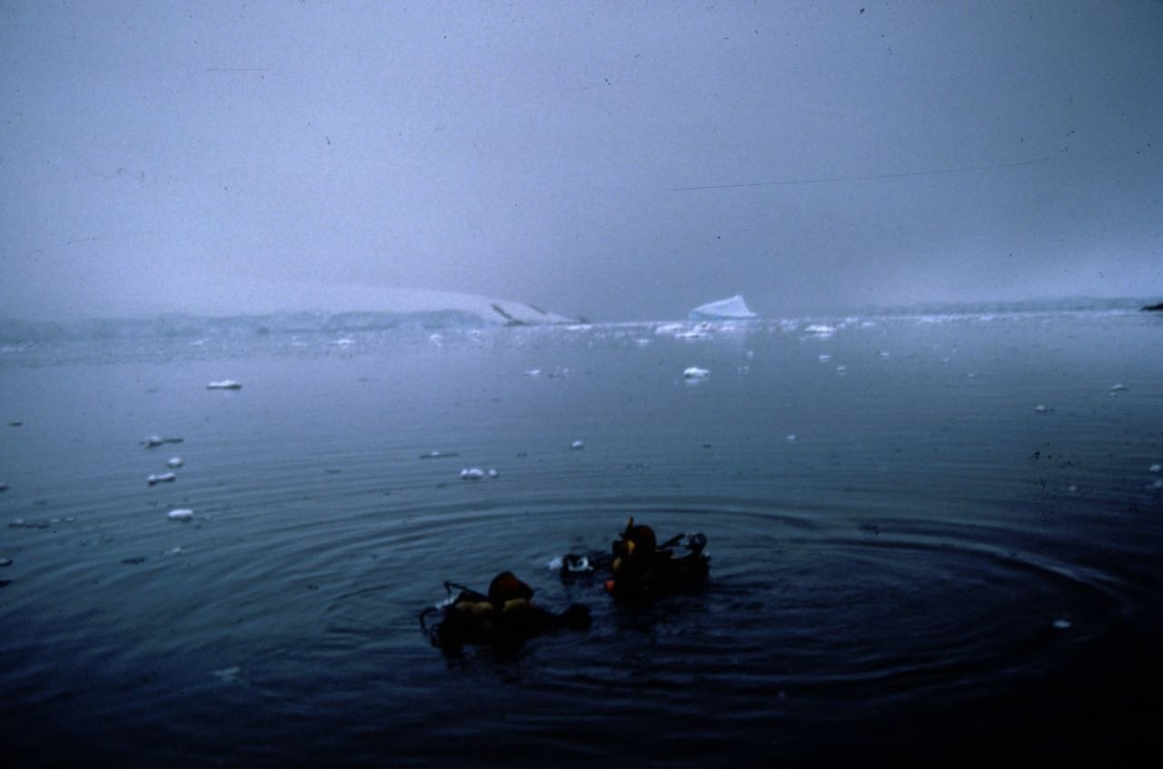 Divers working beneath Antarctic sea ice.